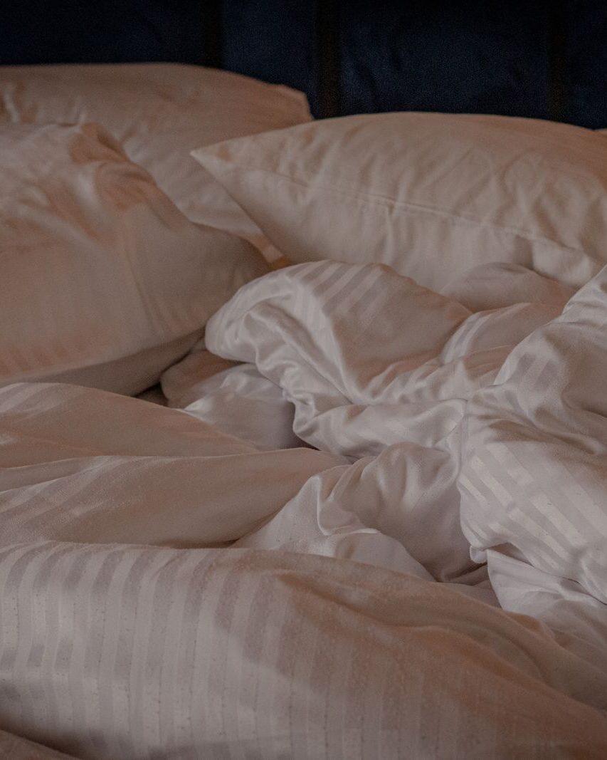 Pillow Protectors, Pair